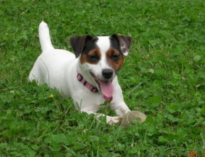 Maycie_with_ball