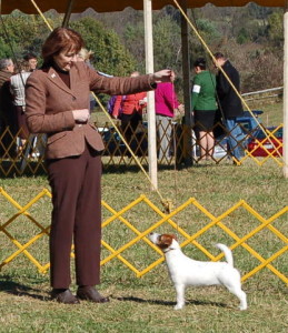 Middleburg Dog Show 10-26-2013 Best of _W