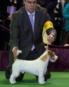 Ronnie_Westminster_2-2013